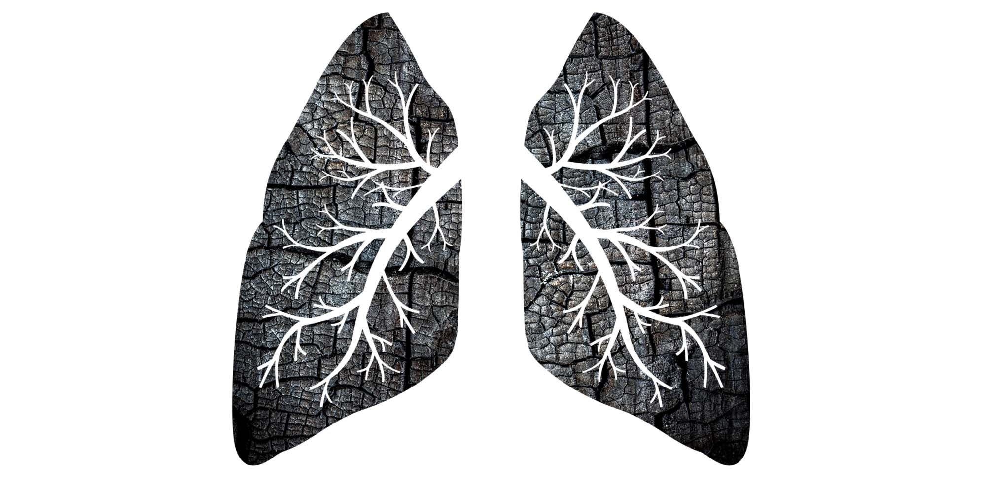 A pair of lungs with white leaves painted on it