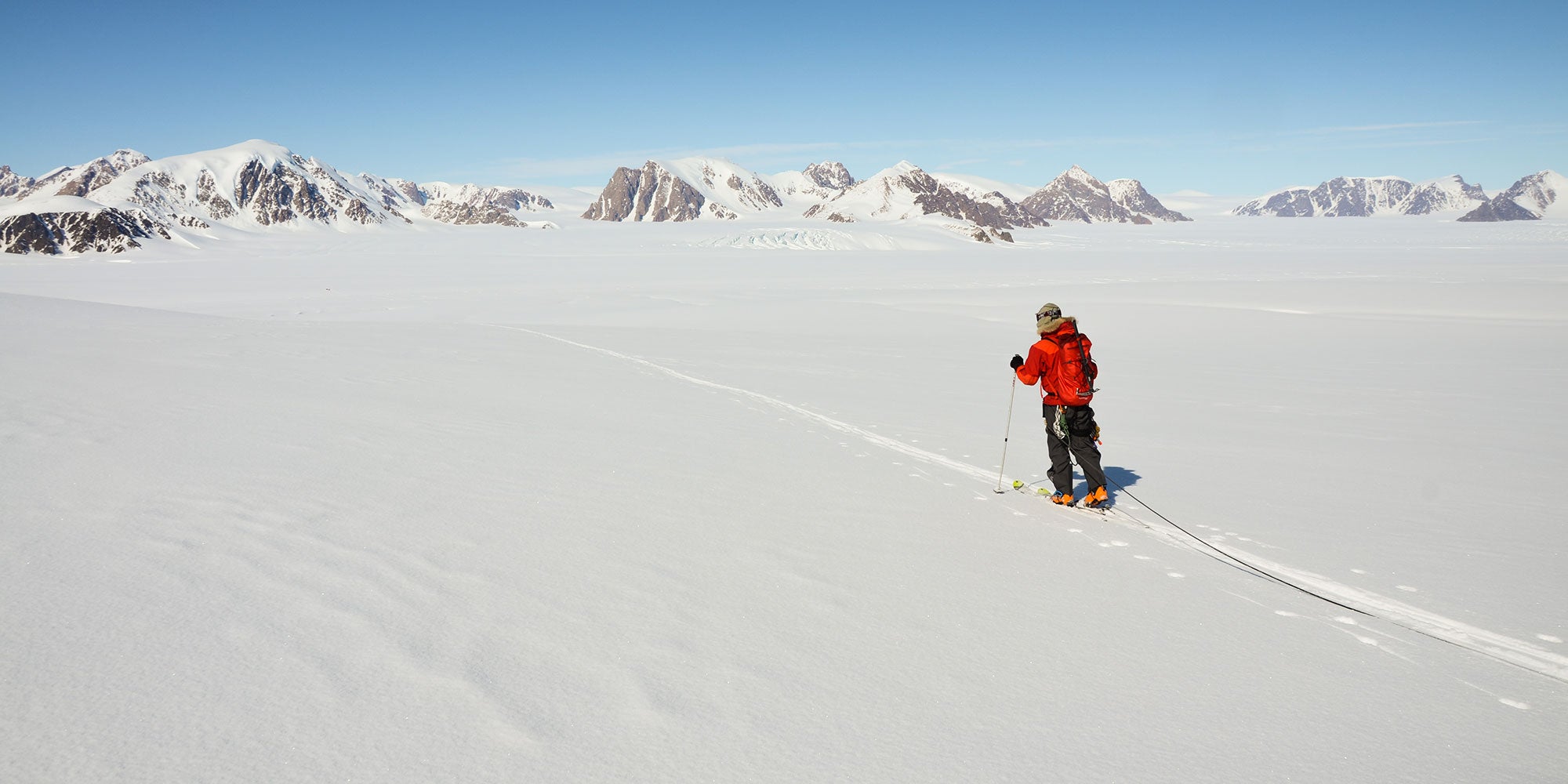 a-long-trip-through-the-arctic-for-a-rare-bird-aHR0cHM6.jpg