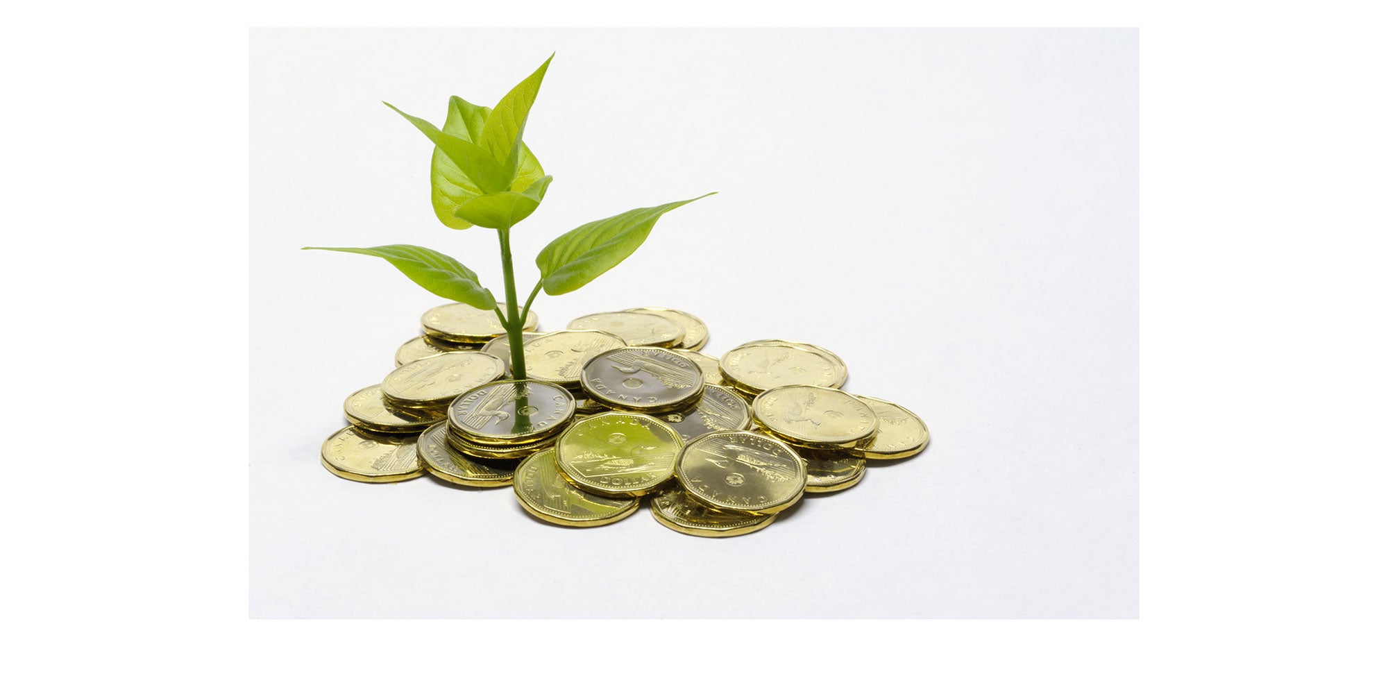 should-you-have-a-tfsa-aHR0cHM6.jpg