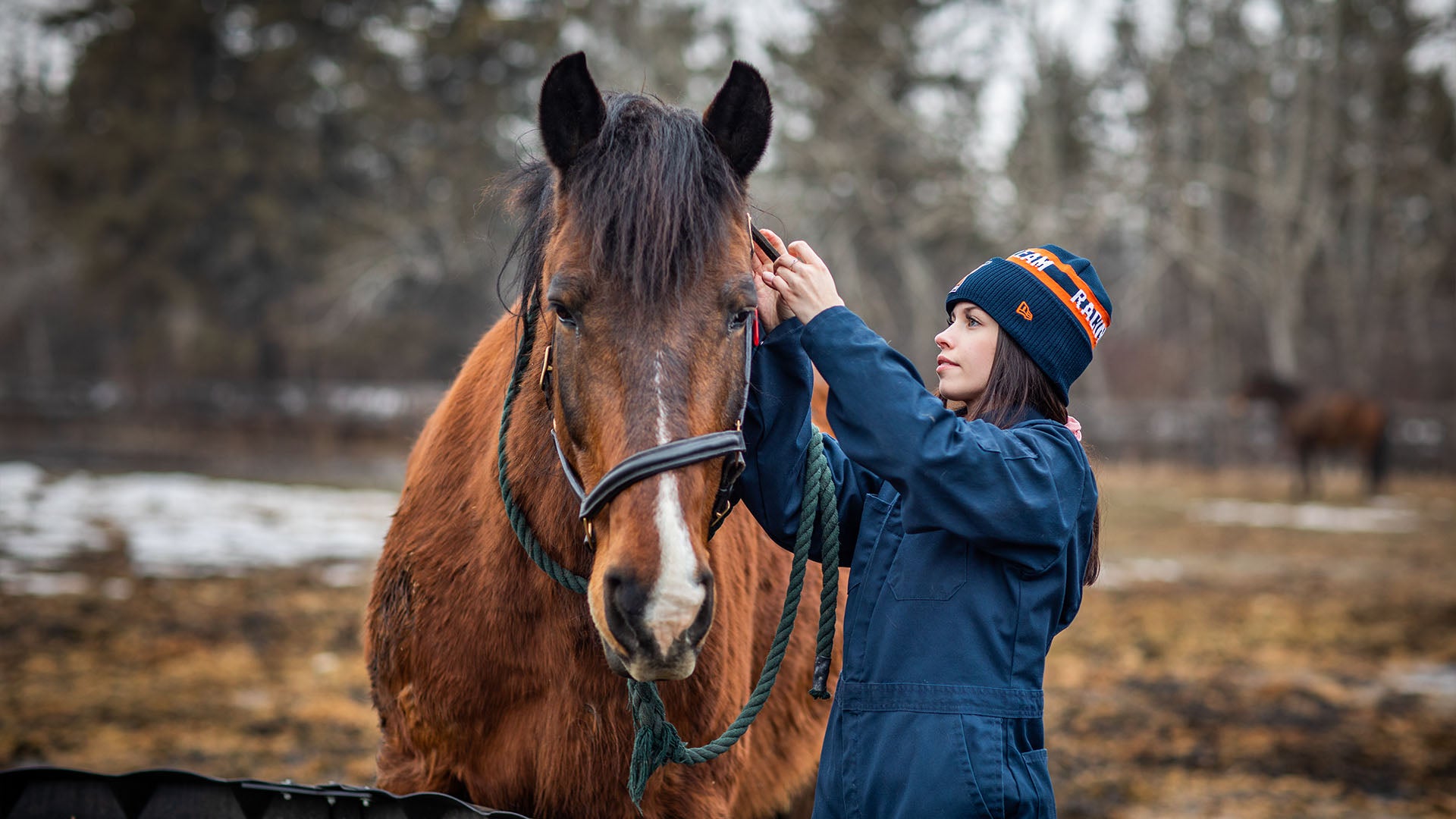 A woman adjusting the bridle and bit on a horse's head.