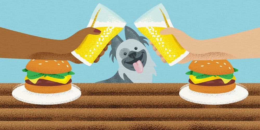 A dog and beer