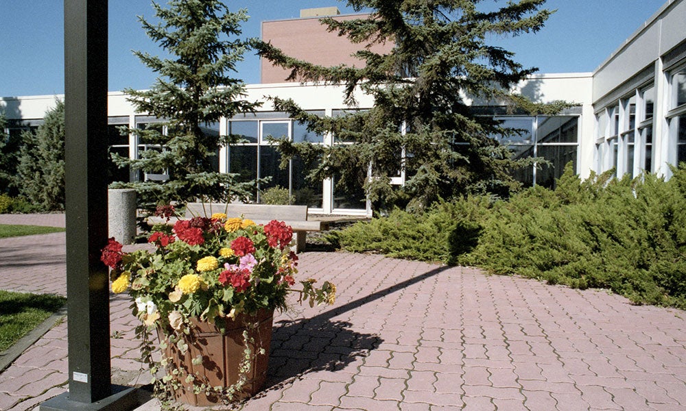 Landscaped campus courtyard with a brick walkway, evergreen trees, flowering planter, and academic buildings in the background.