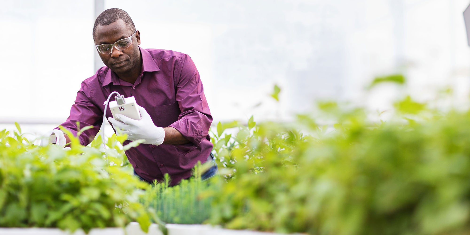 nanotech-seeds-could-kick-start-boreal-forest-regrowth-aHR0cHM6.jpg