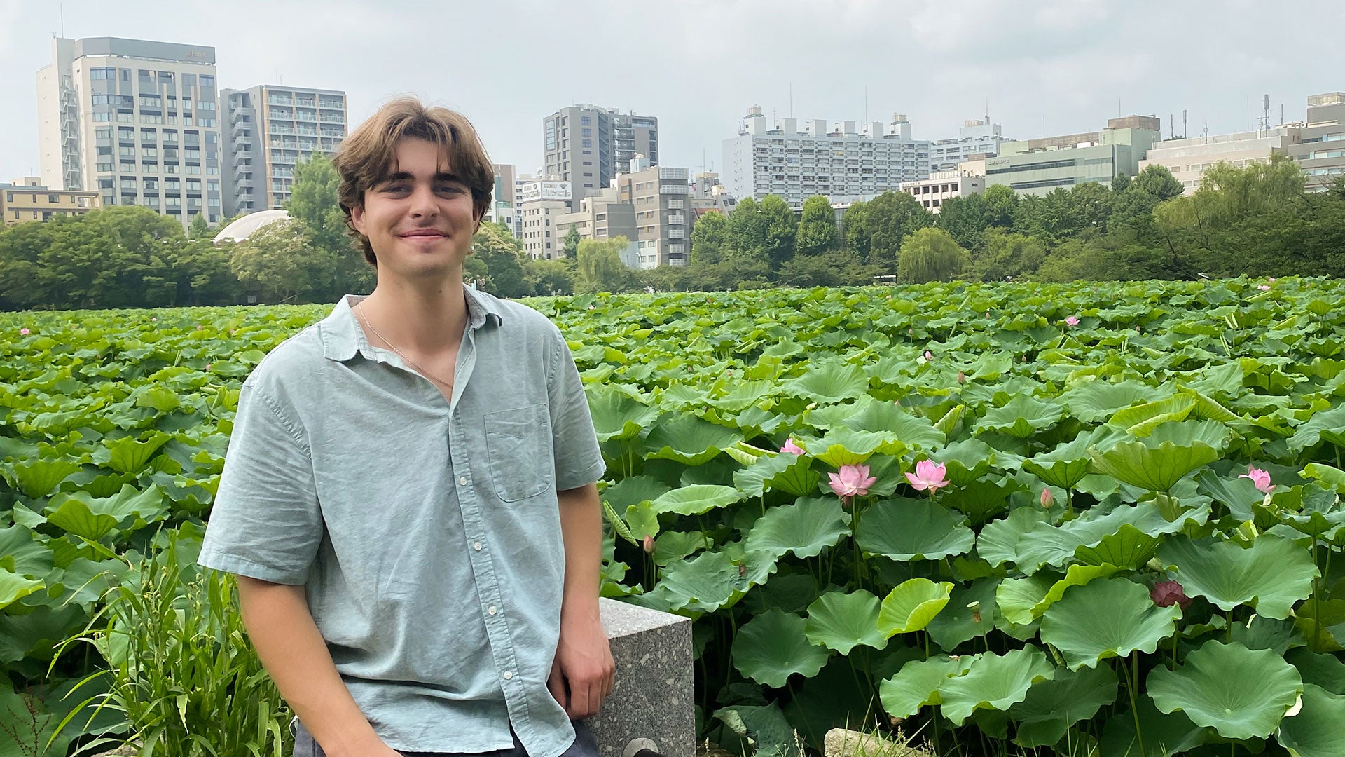 Person standing in front of a lush pond filled with large green lily pads and pink flowers, with modern buildings and trees in the background. Person standing in front of a lush pond filled with large green lily pads and pink flowers, with modern buildings and trees in the background.