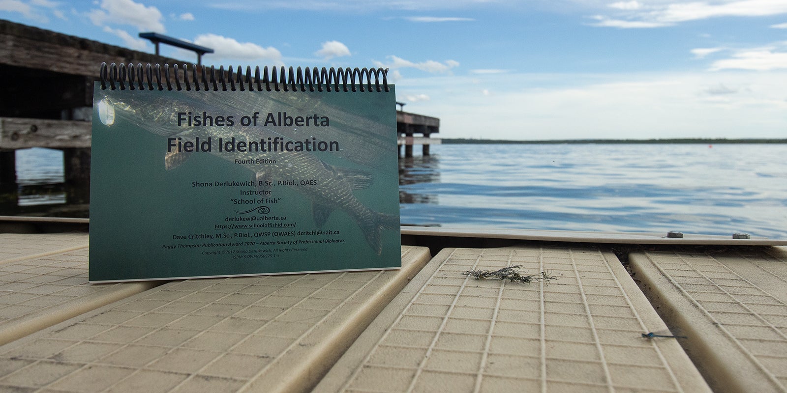 fishing-for-answers_-a-quiz-inspired-by-grad_s-alberta-species-identification-guide-aHR0cHM6.jpg