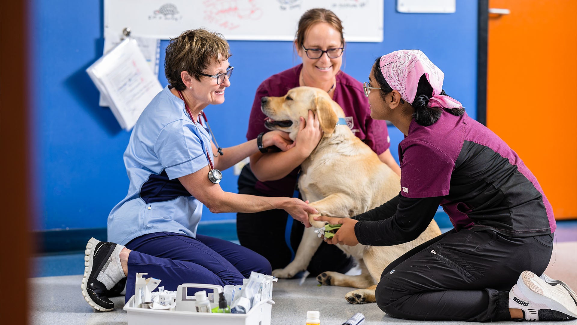 Two female students assist their instructor in treating a golden retriever on the floor. They are trimming the dog's nails, with a caddy of medical supplies nearby.