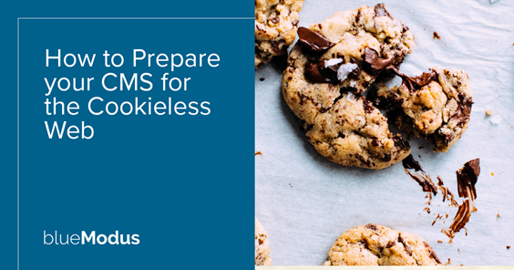 How to Prepare your Website for the Cookieless Web