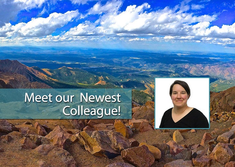 Solution Delivery Team Adds Development Talent