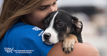 BlueModus Donates to the Human Society of the United States