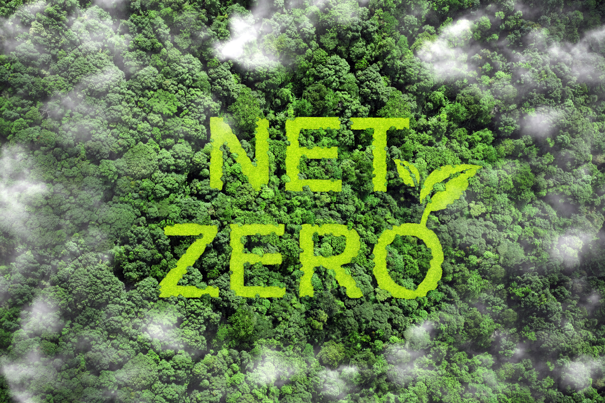 Net zero