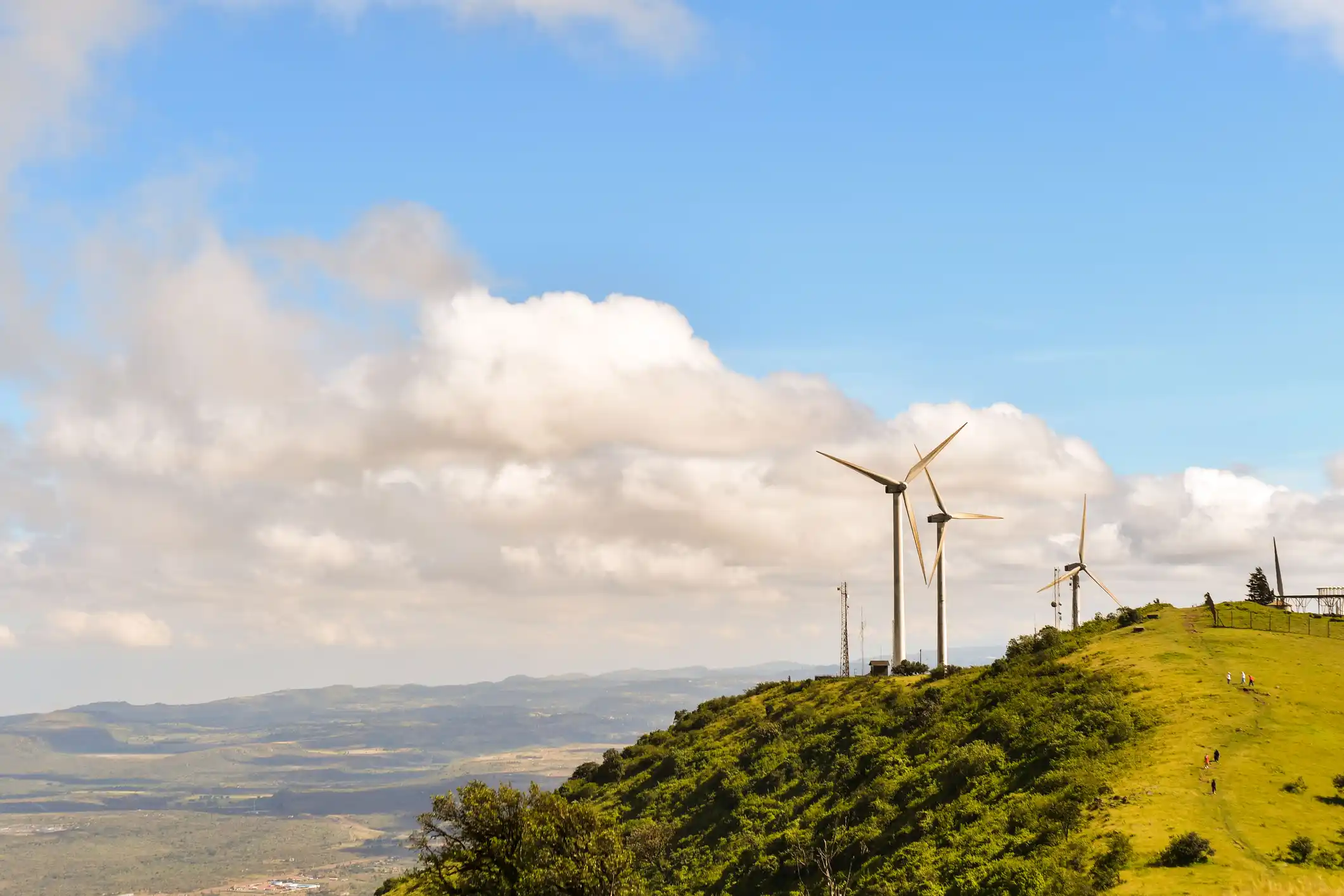 View of green landscape and wind turbines. 