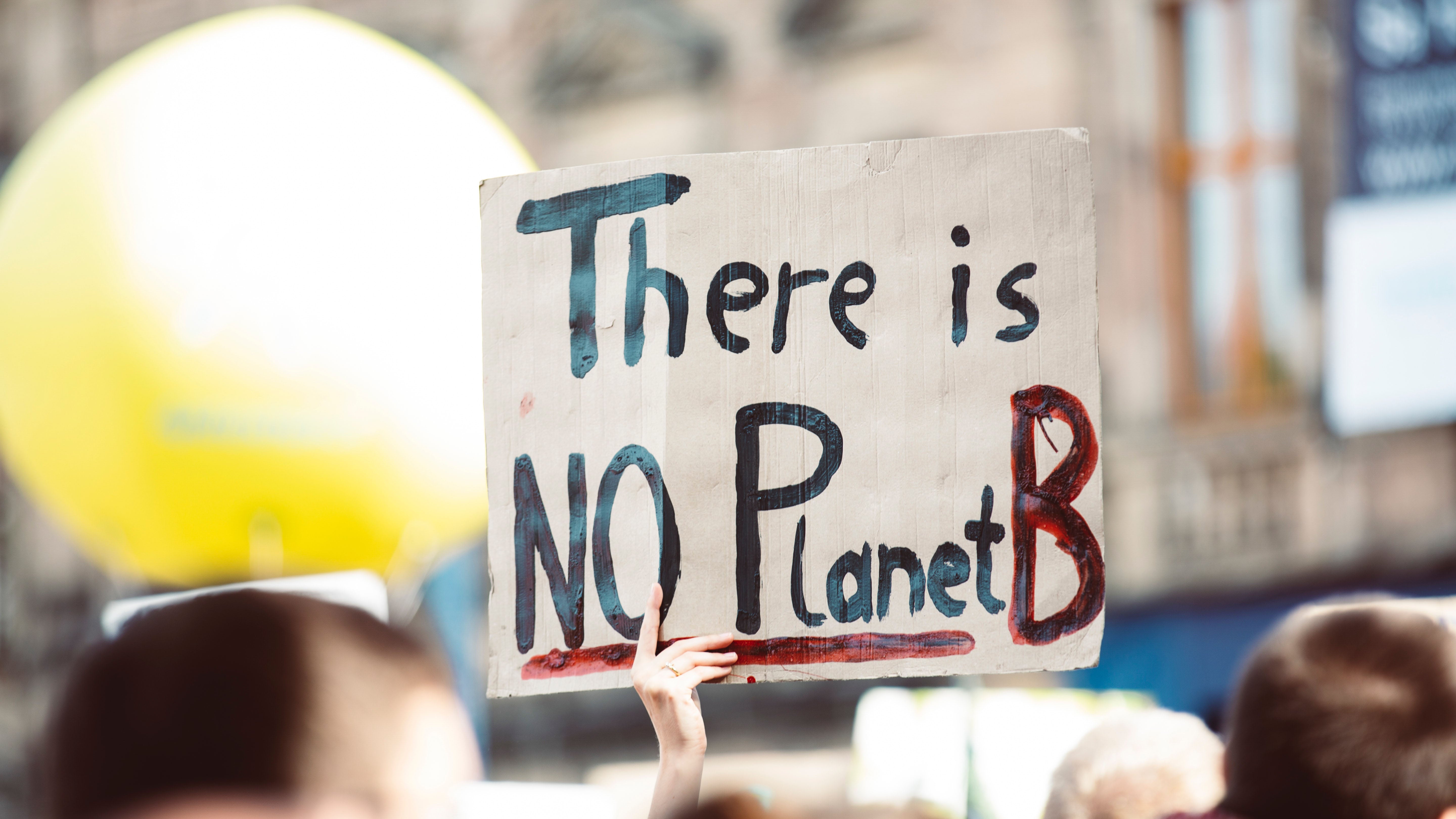 Banner with text "there is NO Planet B"