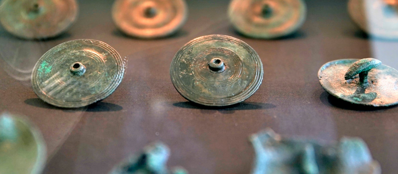 Fittings of a horse carriage from Celtic chariot grave