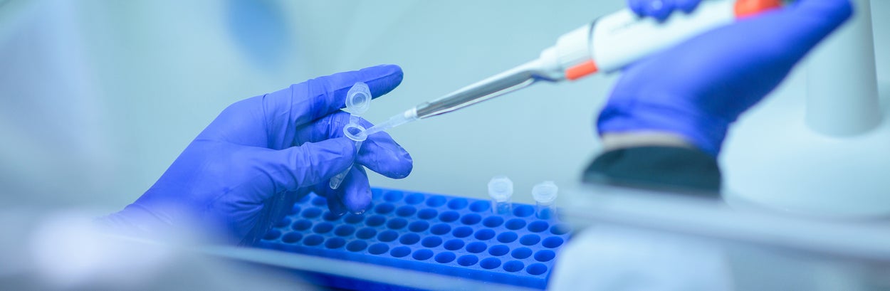 Molecular analysis in the laboratory