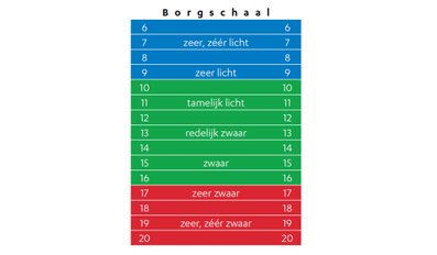 Borgschaal