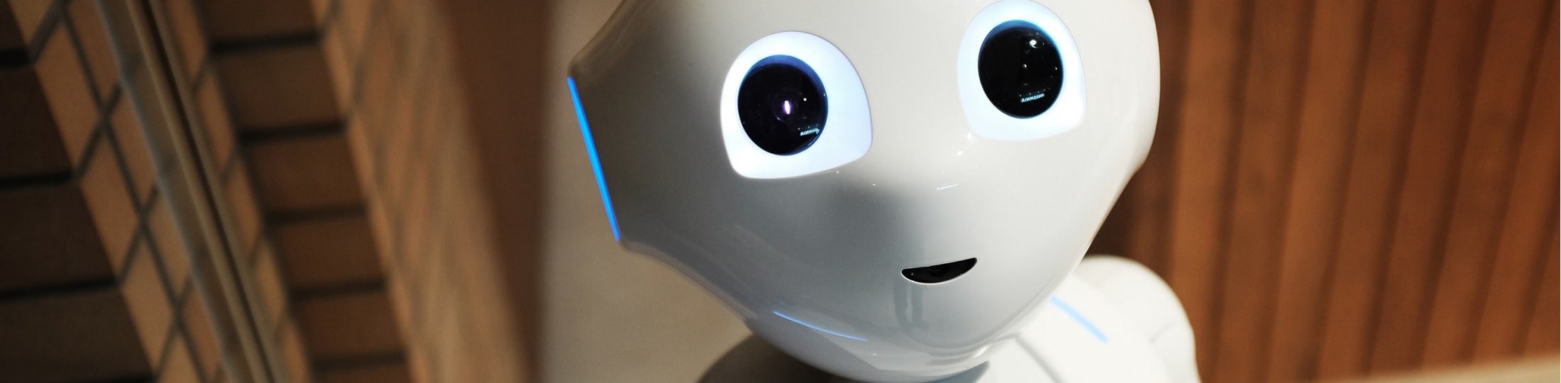 White robot looks into the camera