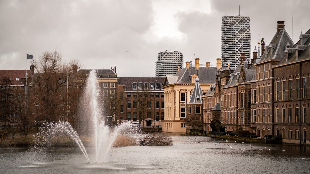 Hofvijver in the Hague