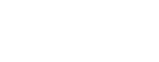 bluebird-(white)-higher-res.png