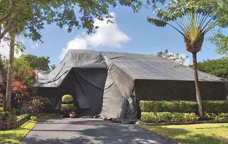 fumigation services at a home