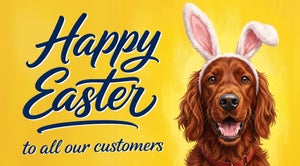 Easter greetings from Bus Éireann featuring the message 'Happy Easter to all our customers' on a green background, decorated with colorful Easter eggs and daisy flowers.