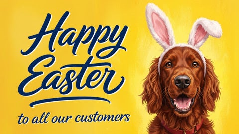 Easter greetings from Bus Éireann featuring the message 'Happy Easter to all our customers' on a green background, decorated with colorful Easter eggs and daisy flowers.