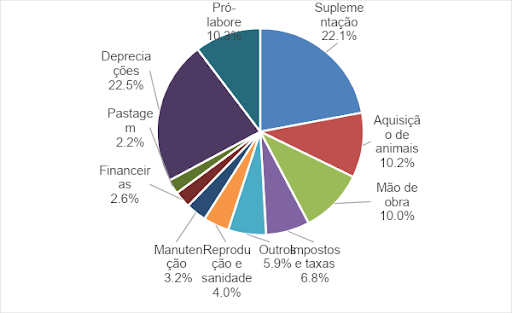  Gráfico de pizza relacionando diferentes componentes de custo para operacionalização da cria no Mato Grosso. São elas: Reprodução e Sanidade 4%,Manutenção 3,2%;Financeiras 2,6%, Pastagem 2,2%, Depreciações 22.5%, Pró labore 10,3%; Suplementação 22,1%; Aquisição de animais 10,2%; Mão de obra 10%;impostos e taxas 6,8%, outros 5,9%.