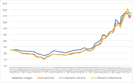 Gráfico de variação nos preços de bovinos para reposição em São Paulo 