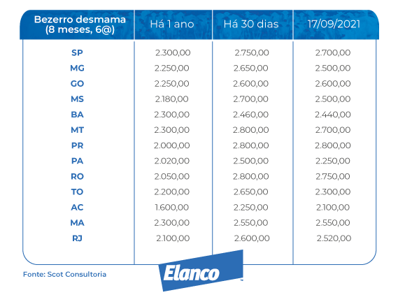 Cotação bezerros em desmama