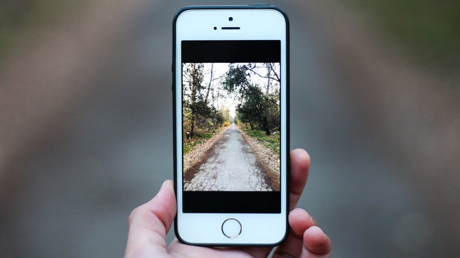 A close up of the mobile phone screen. The individual is taking a picture of the nature around them.