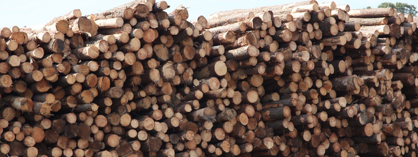 fiber-who-supplies-it-1920x600