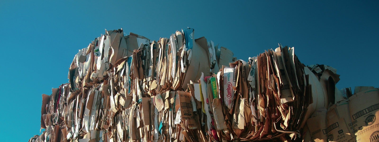georgia-pacific-harmon-is-now-georgia-pacific-recycling-1920x600