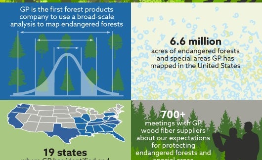 2019-12-forest-mapping-530.png