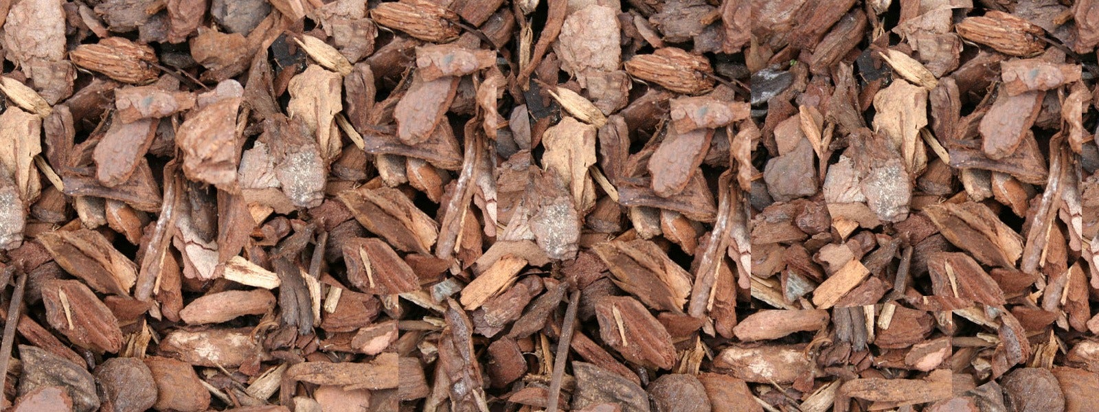 transforming-wood-waste-to-energy-1920x600