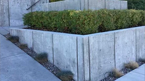 Concrete retaining wall with bushes on top