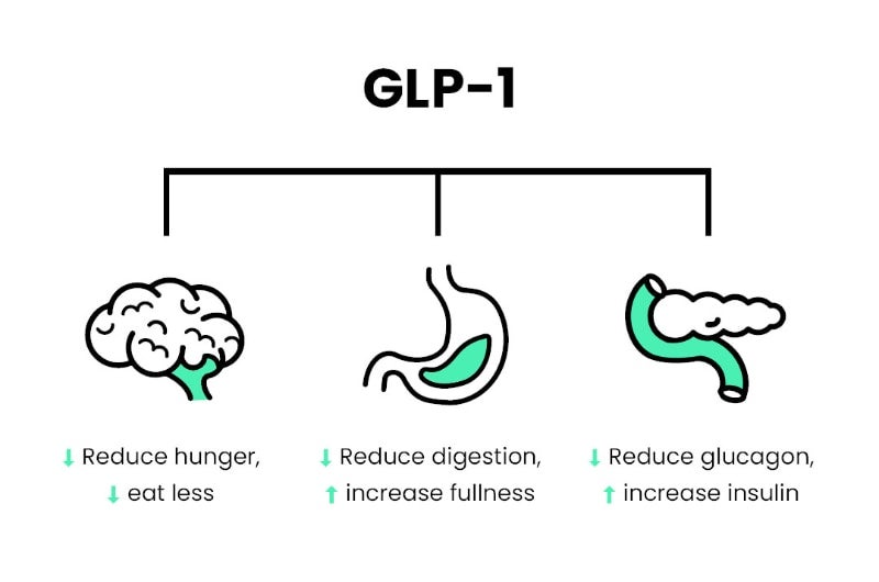 Mechanism of weight loss injection by GLP-1