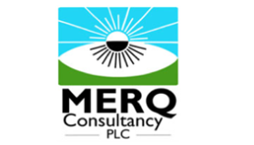 MERQ Consulting