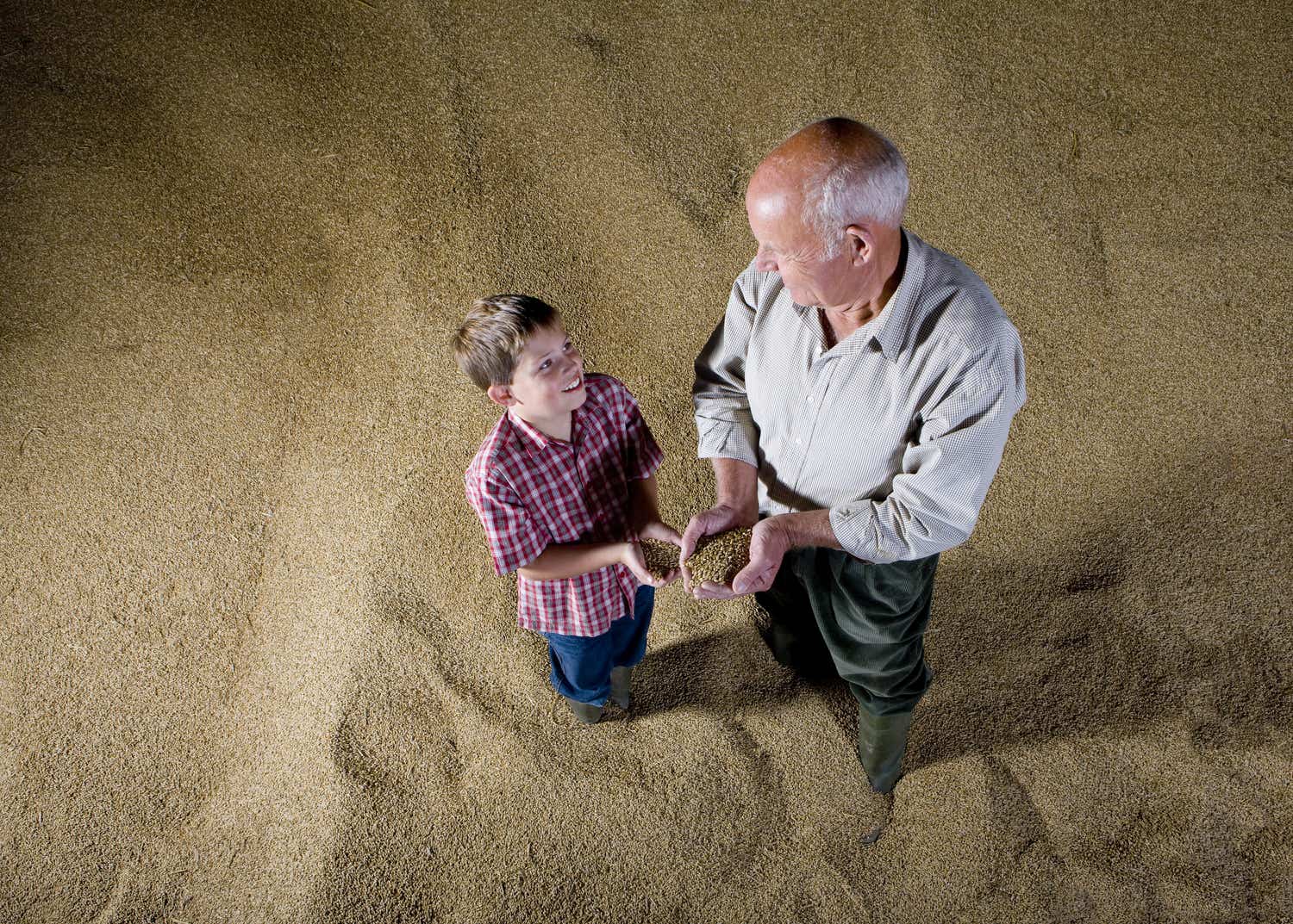 Kid stands with grandpa in pile of grain