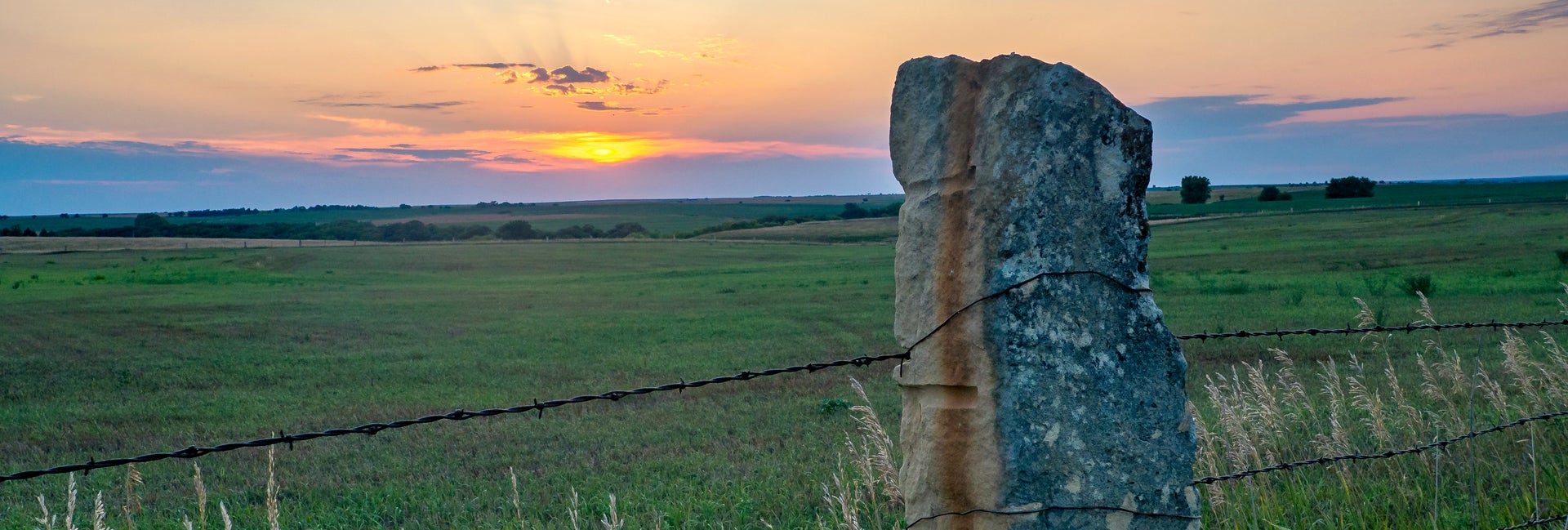 Fence post with barbed wire with pasture in background