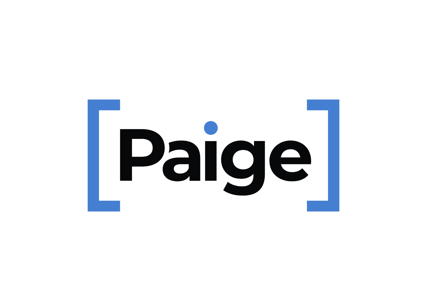 Paige Logo