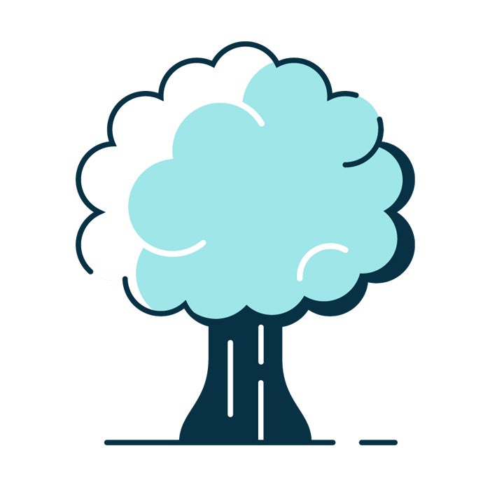 Tree icon illustration