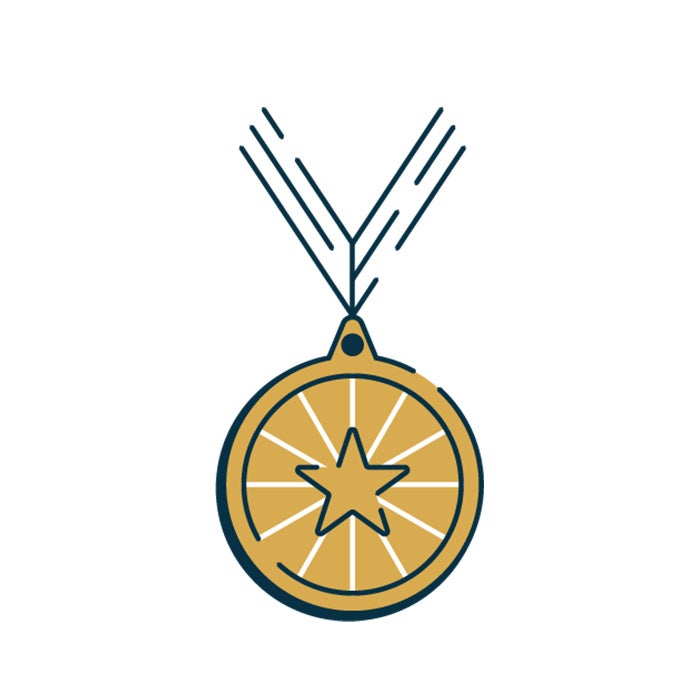 Gold Medal with star on center