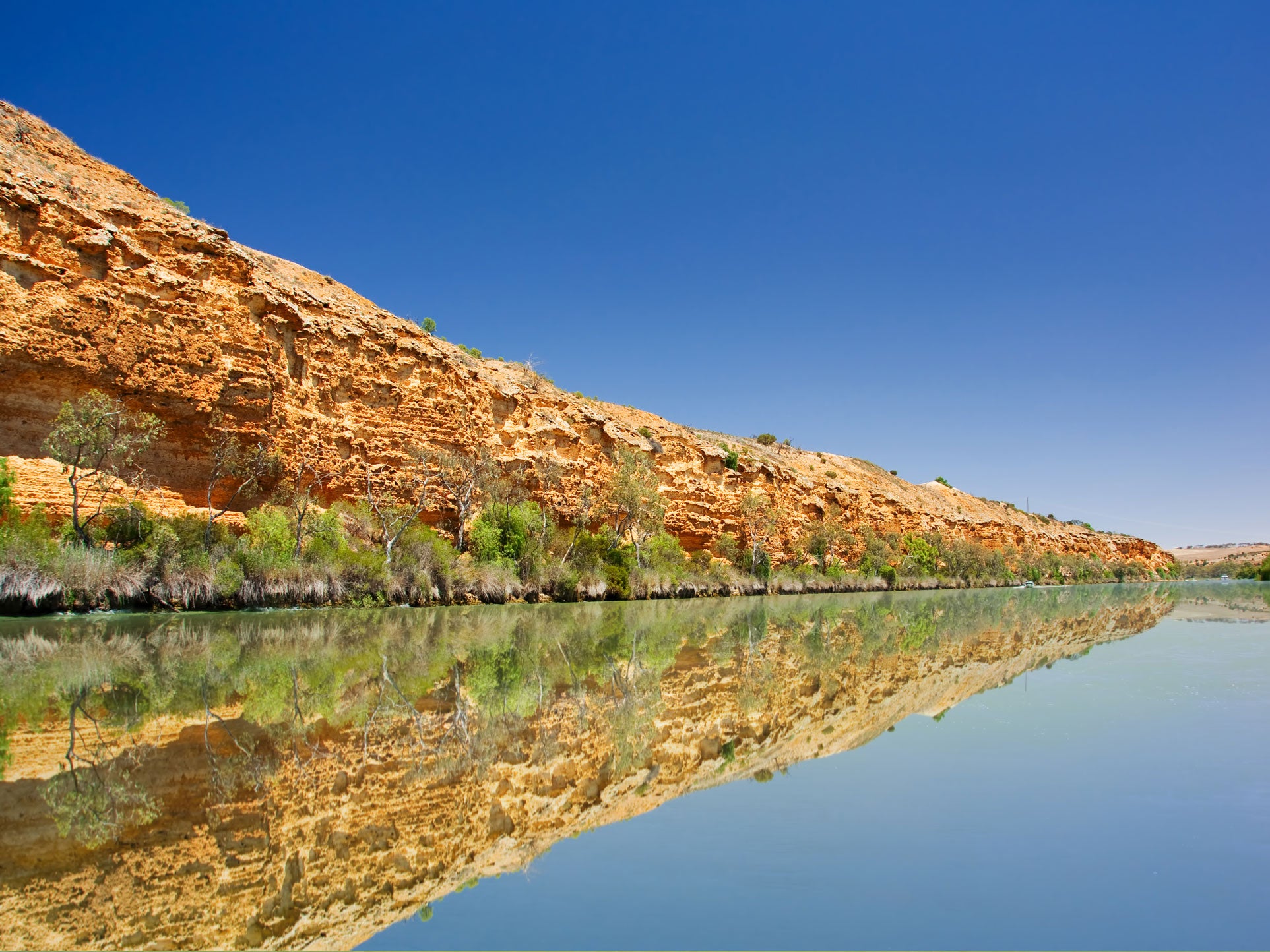 The new federal government's plan to safeguard the Murray-Darling Basin