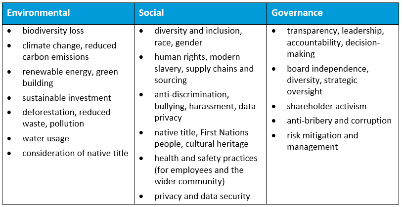 Common ESG issues and areas of concern