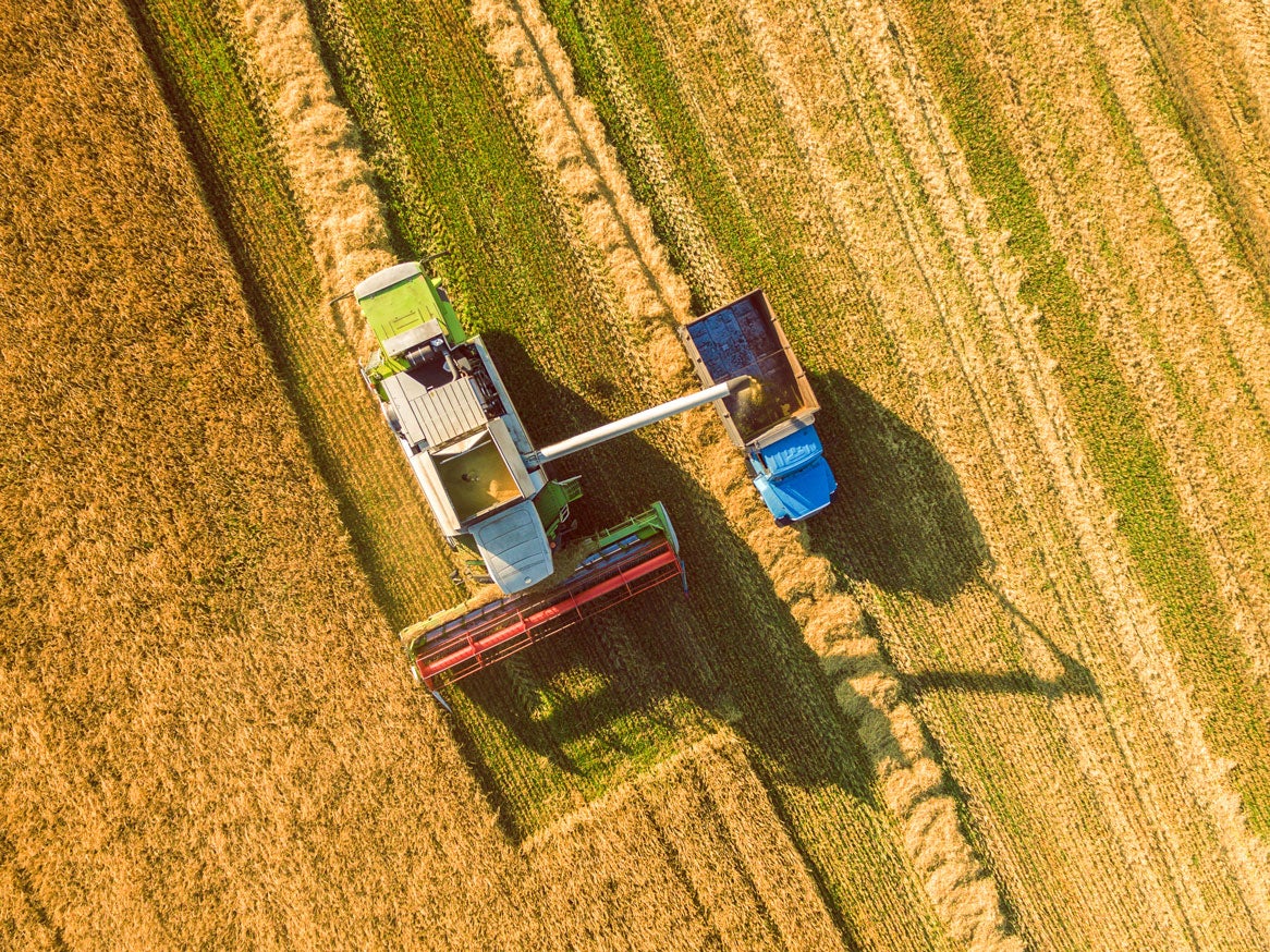 Managing the agricultural supply chain: Contract negotiation and management