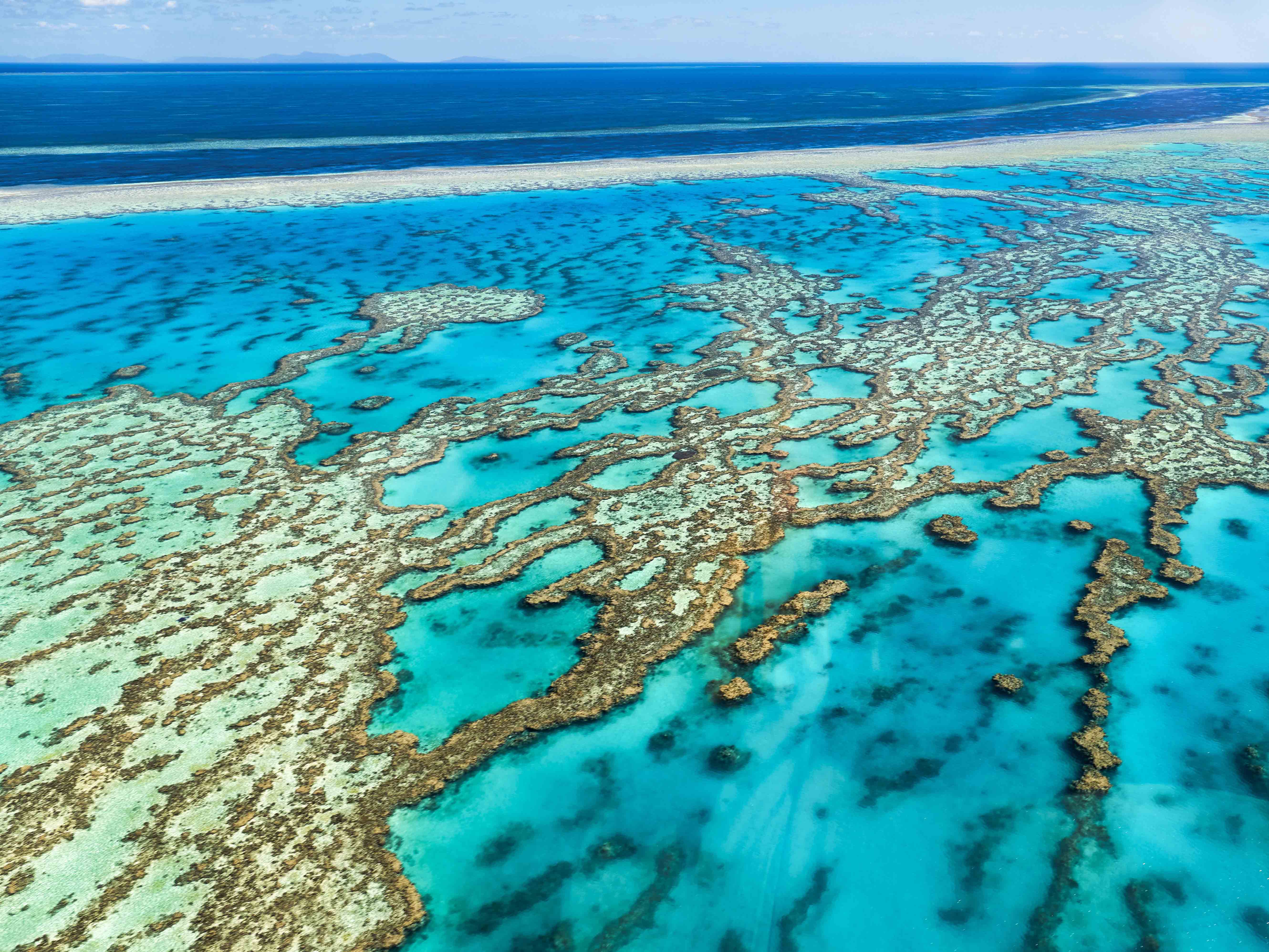 Updates to Queensland’s Reef Protection Regulations: What your industry needs to know
