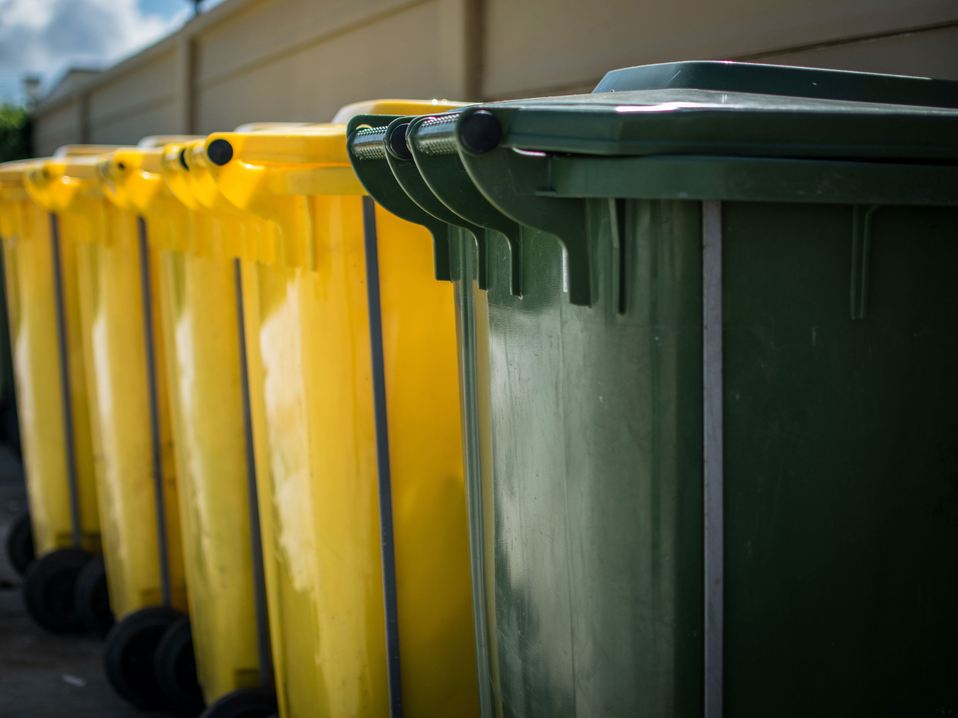 Not easy being green for Logan waste collection businesses, QCA finds