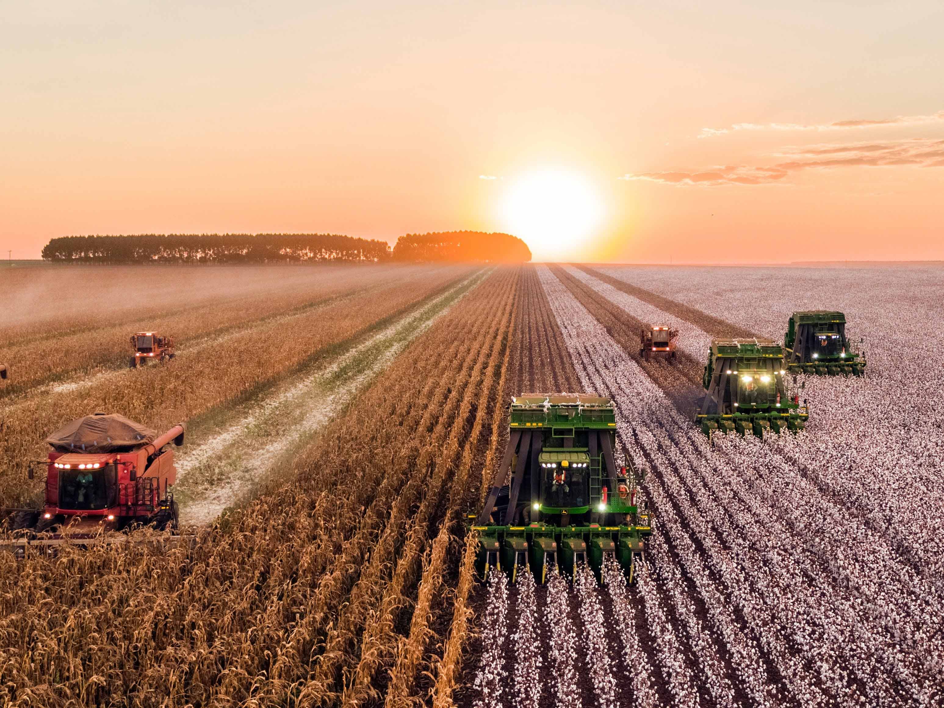 Share farming arrangements: Asset or liability?
