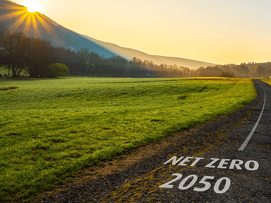 Net zero by 2050 – does this matter for renewables?