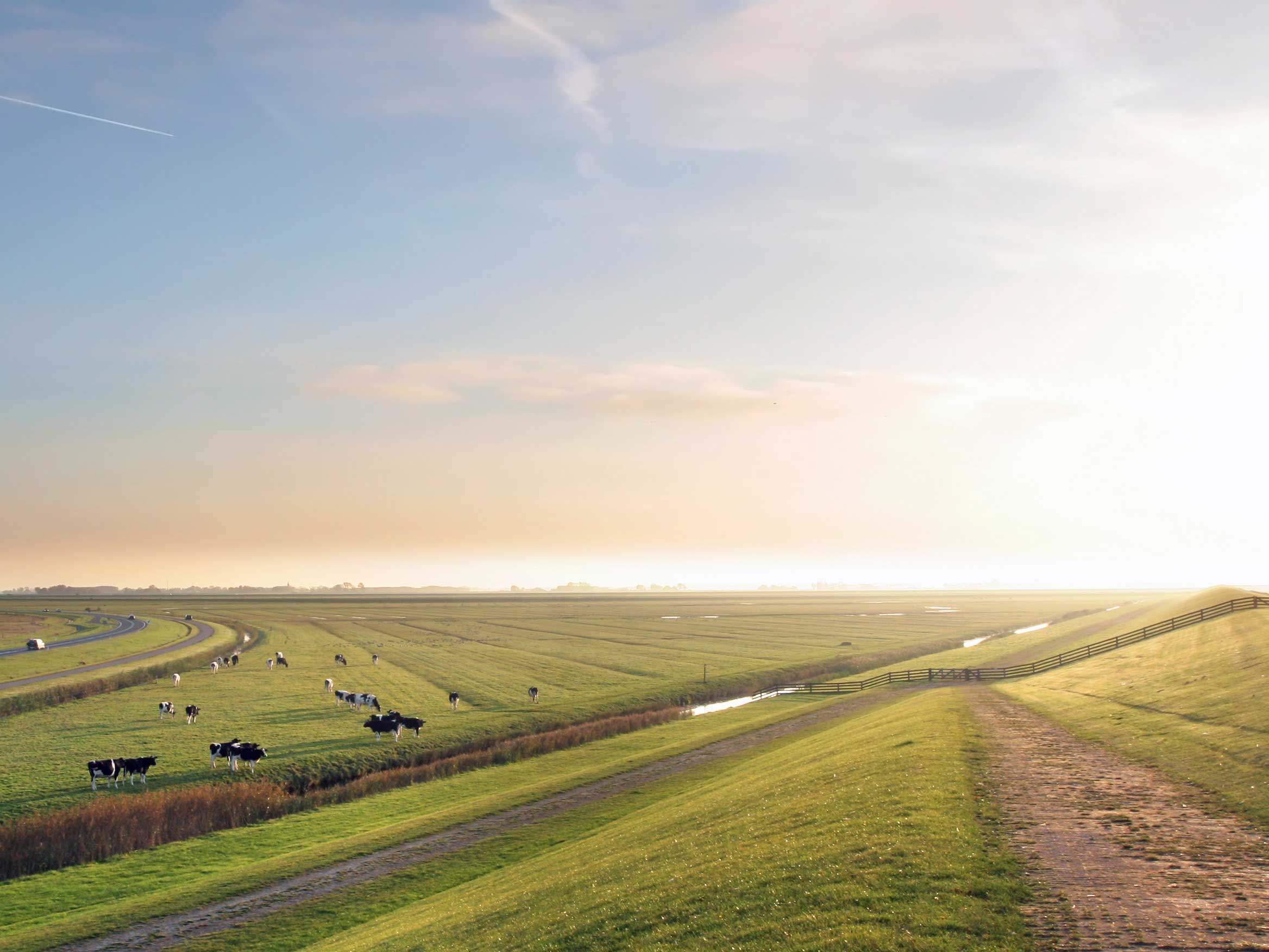 Funding for landholders seeking carbon farming advice from LRF approved advisers