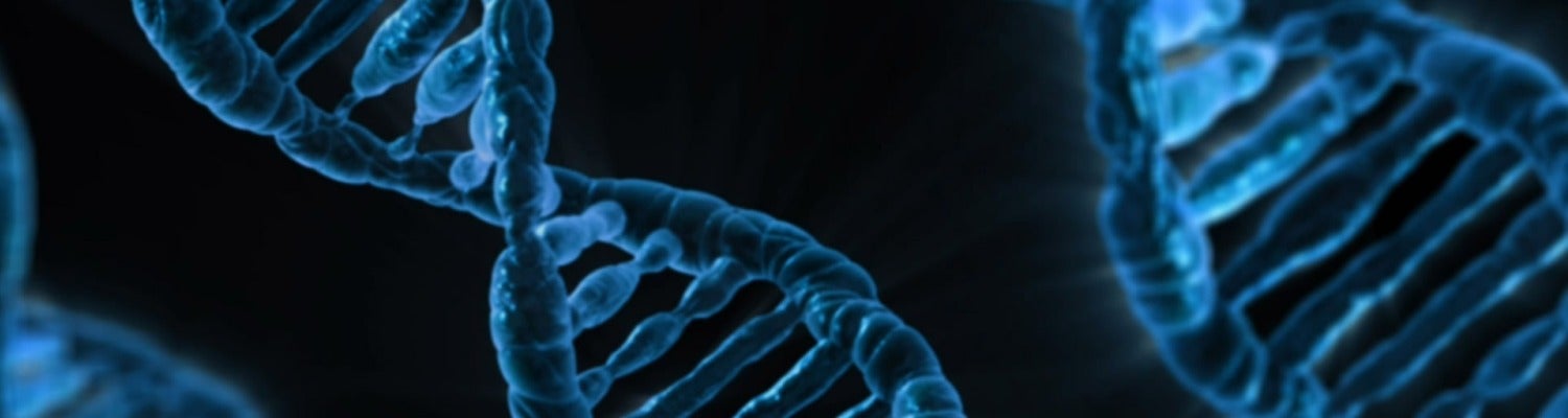 DNA